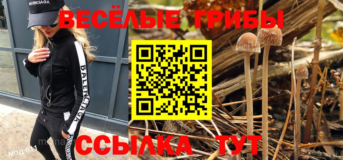 Галлюциногенные грибы Psilocybine cubensis Ялуторовск