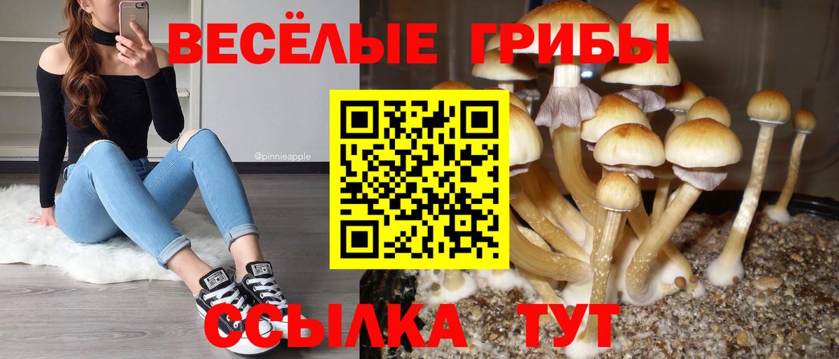 как найти наркотики  Галлюциногенные грибы Magic Shrooms  Вход с VPN  Ялуторовск 